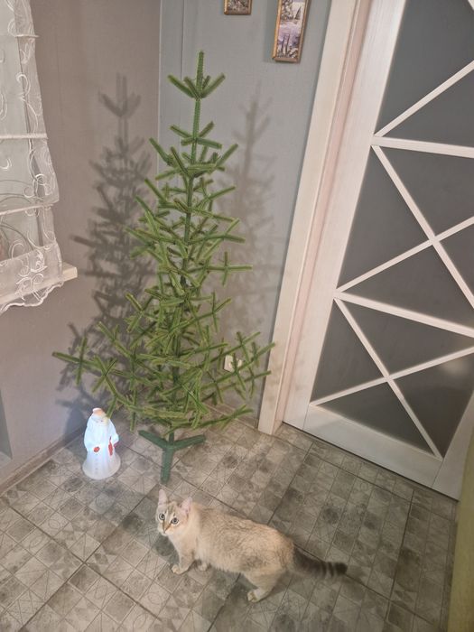 Советская ёлка + большая коллекция СССР игрушек + Дед Мороз в подарок!