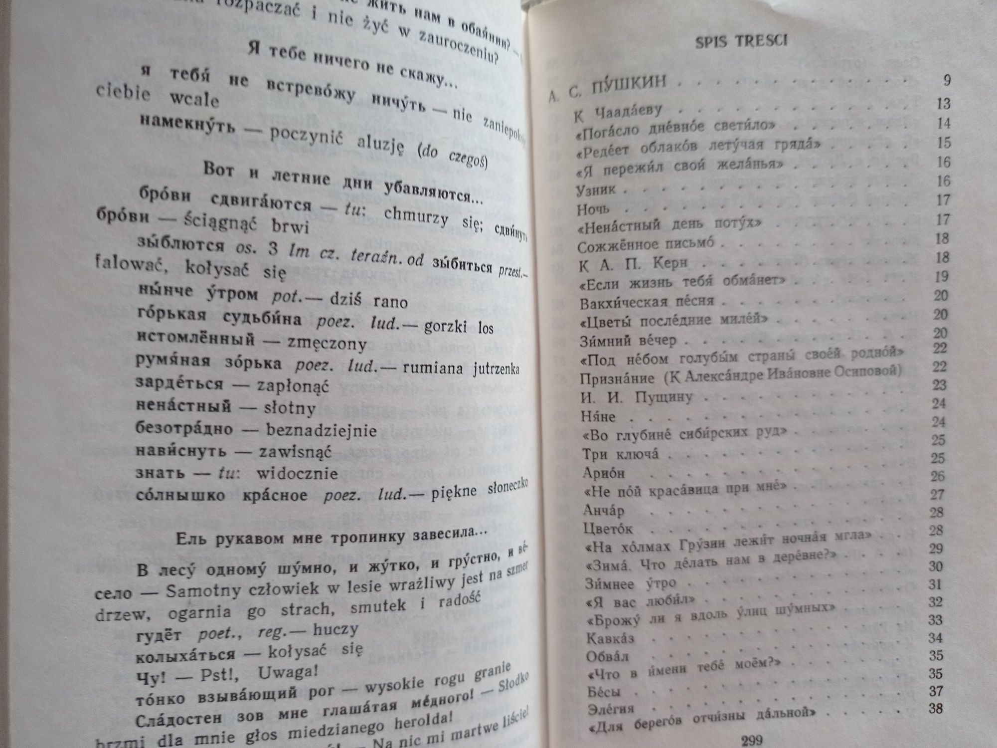 Десять русских поэтов для чтения с комментарием на польском языке 1981