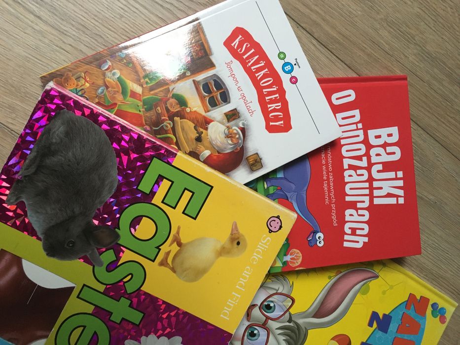 Zestaw 6 książeczek dla dzieci bajki o dinozaurach Easter Elementarz