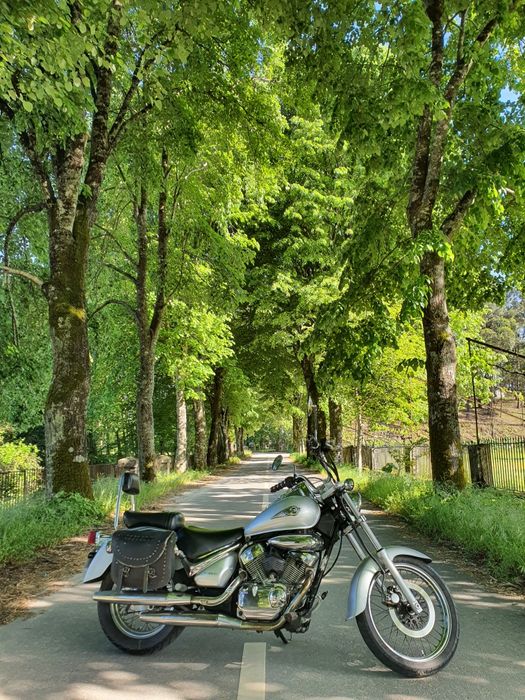 Suzuki intruder 250vl