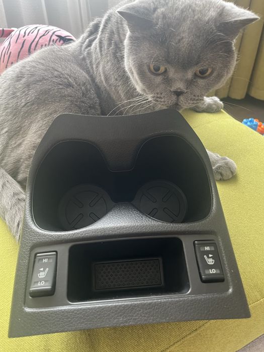 Підстаканник з кнопками підігріву Nissan Rogue sport