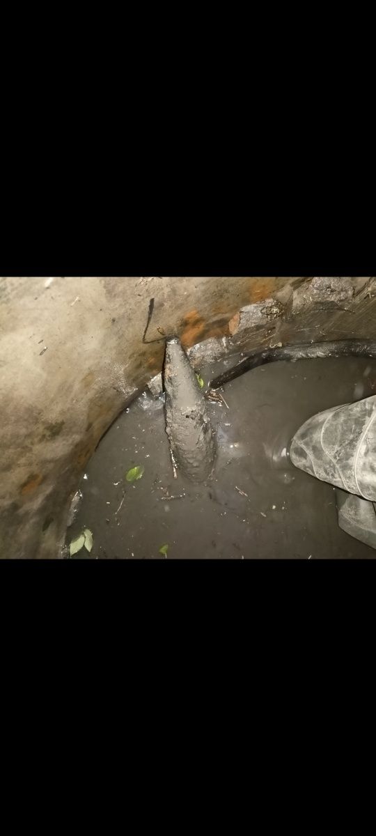 Czyszczenie studni kręgowych
