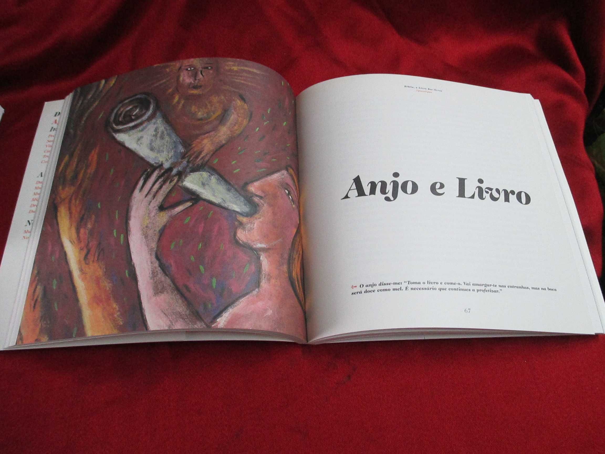 A Biblia o Livro dos Livros ( Colecção 12 Livros ) Ilustrada