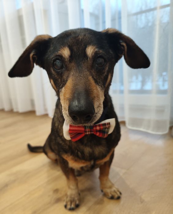 Szukamy najlepszego domu pod Słońcem