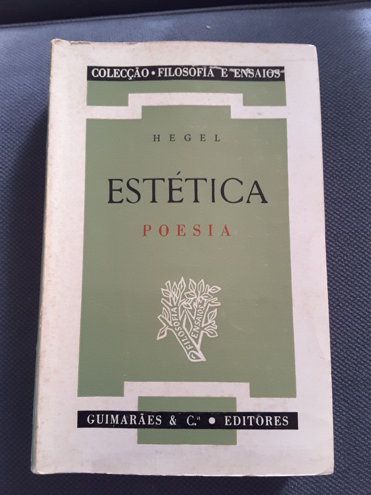 Hegel: Estética Poesia / Tocqueville: A Democracia na América