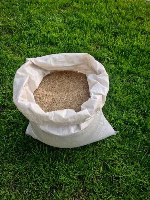 Trawa ogrodowa zagęszczająca