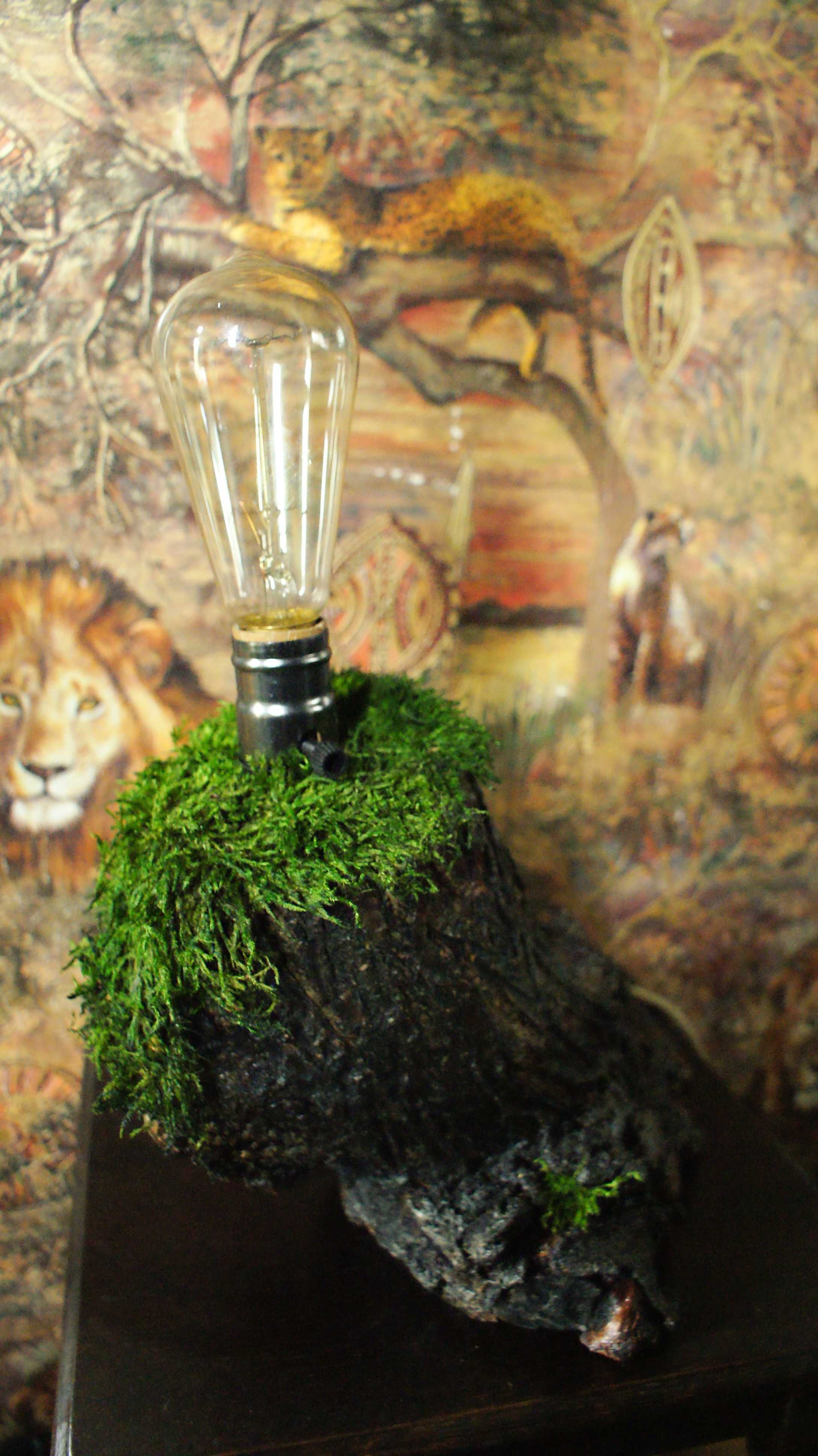 Дизайнерський світильник бра, настільна лампа, декор з дерева та моху.