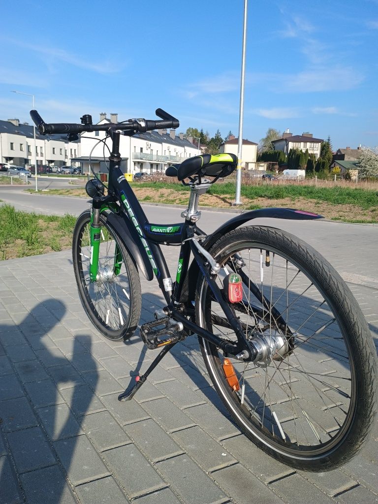 Rower Pegasus Avanti