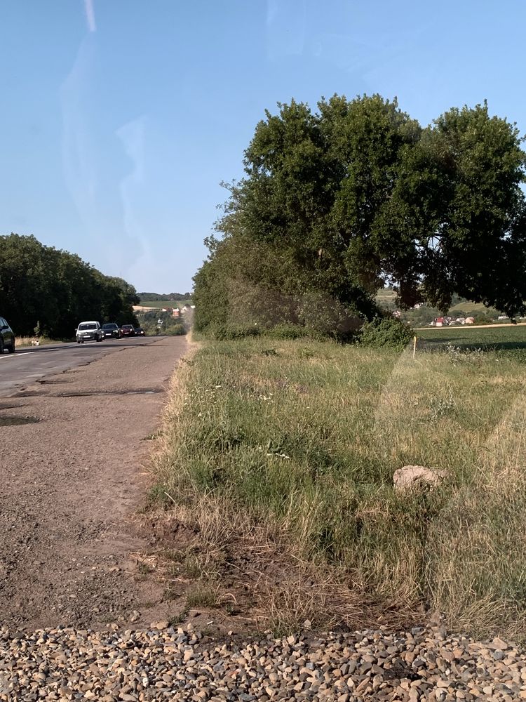 Земельний участок 1 гектар,передмістя перша лінія