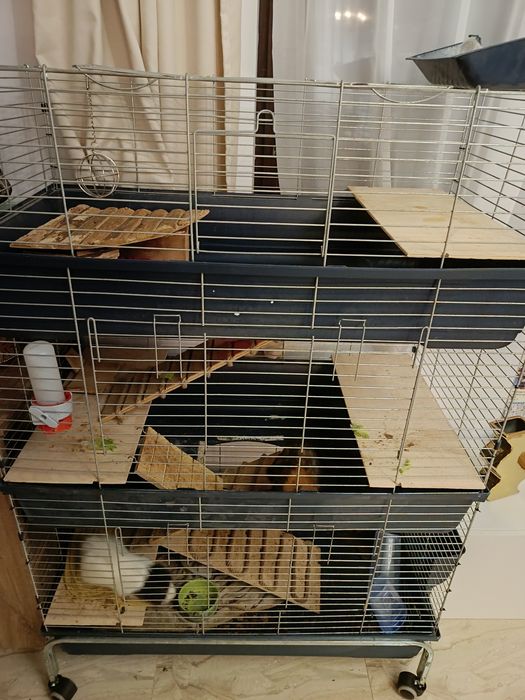 Klatka dla gryzoni pietrowa 3pietra dla koszatniczki