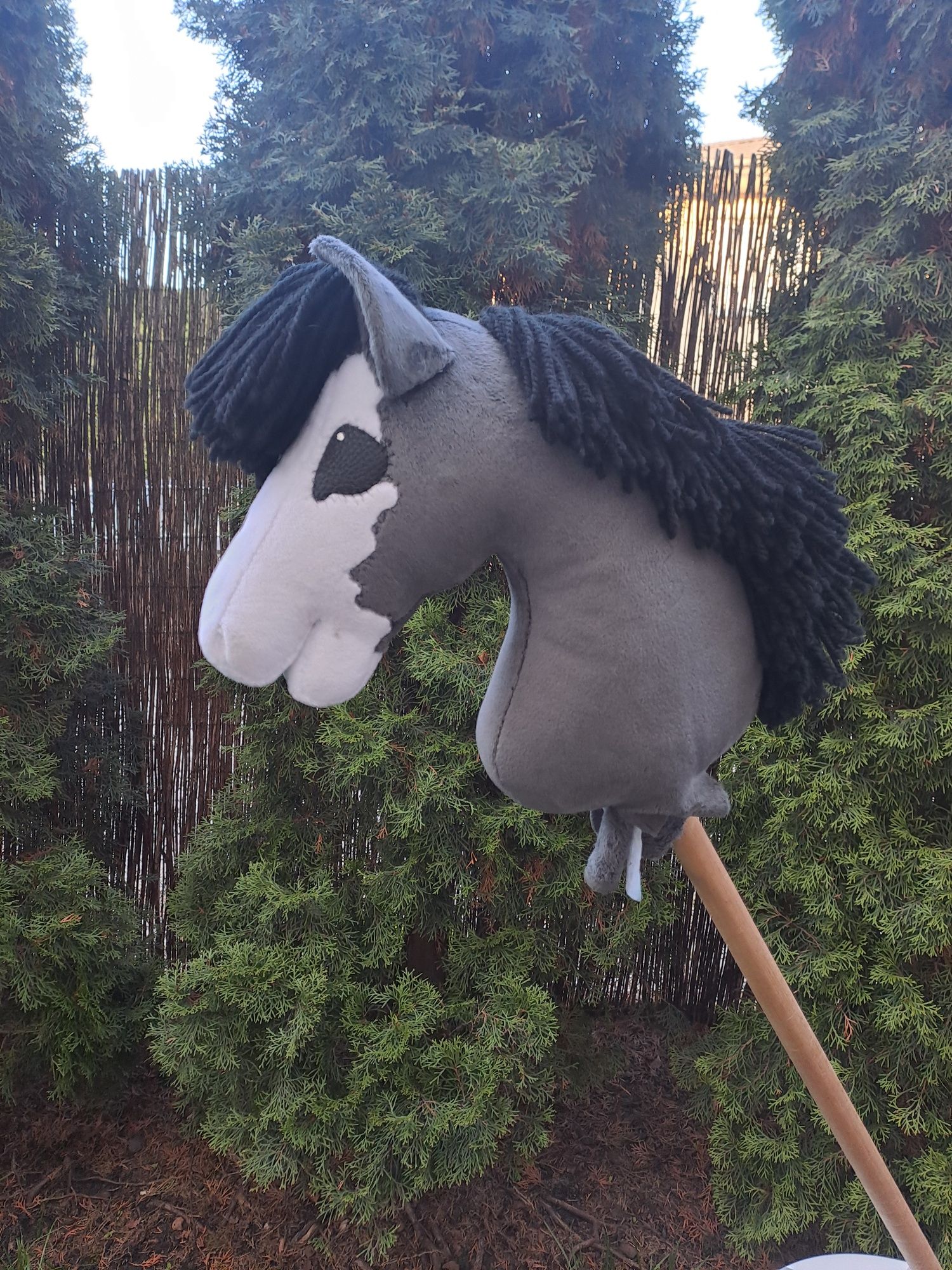 Hobby horse myszaty