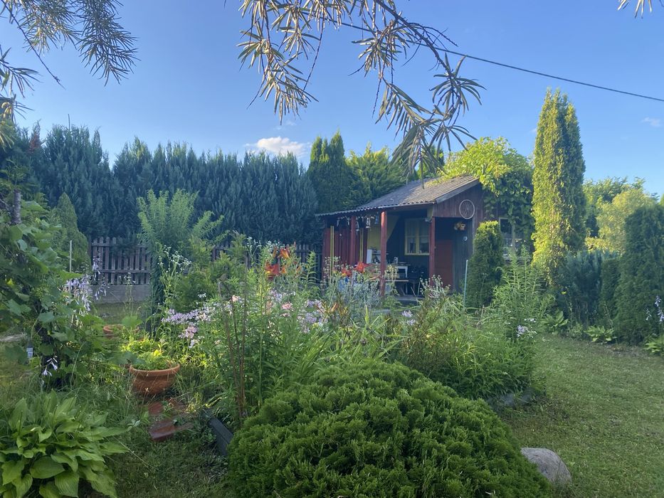 Działka ogrodowa nr 524 w Suwałkach im. Jaćwingów