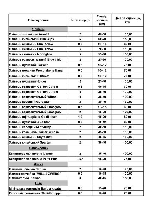 Саджанці туя, ялівець, ялинки, лохина