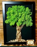 Drzewo z mchu chrobotka w ramce 3d 21x30 cm