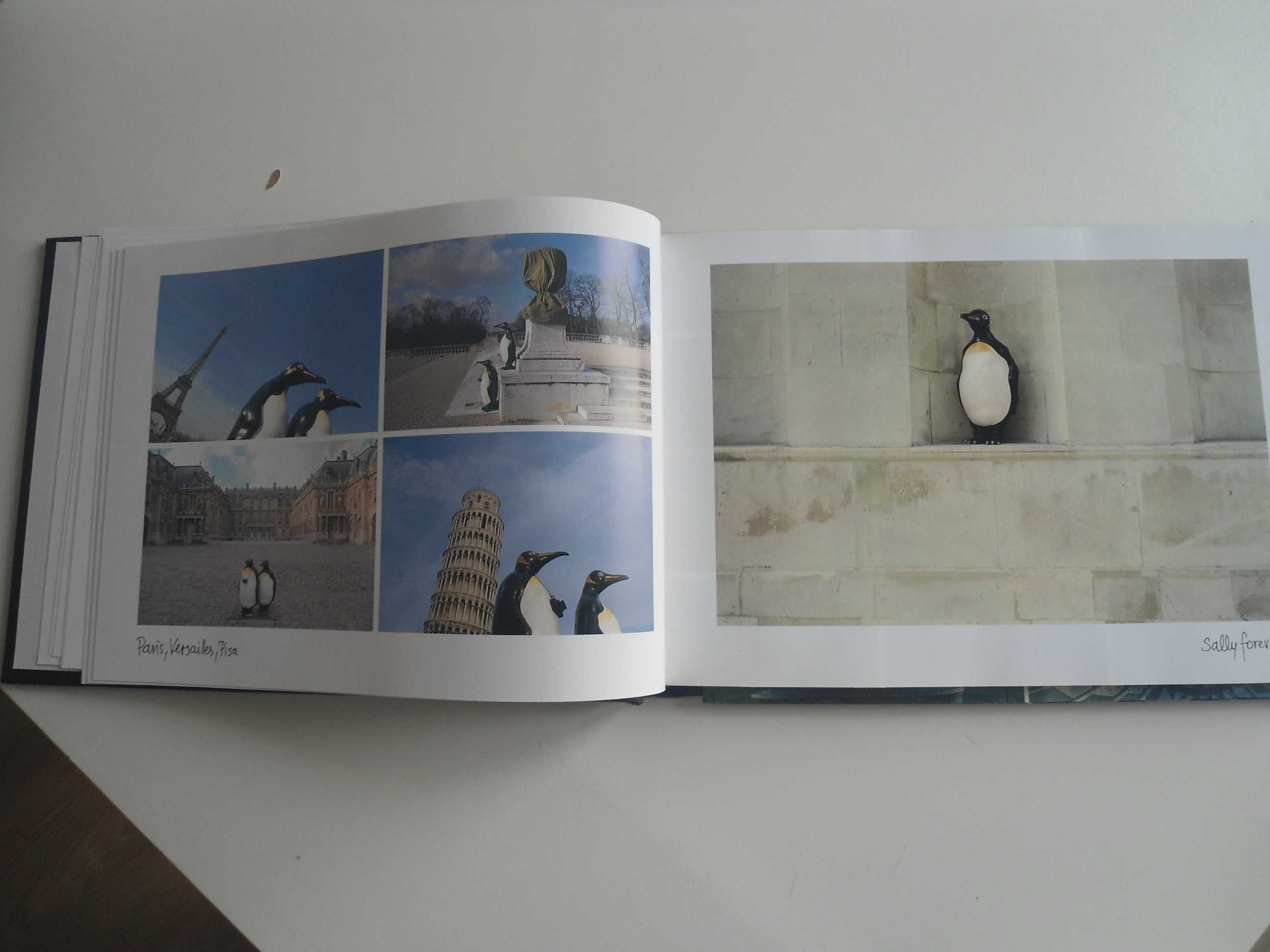 Penguins-Traveling the world-The Long road Home de Willy Puchner