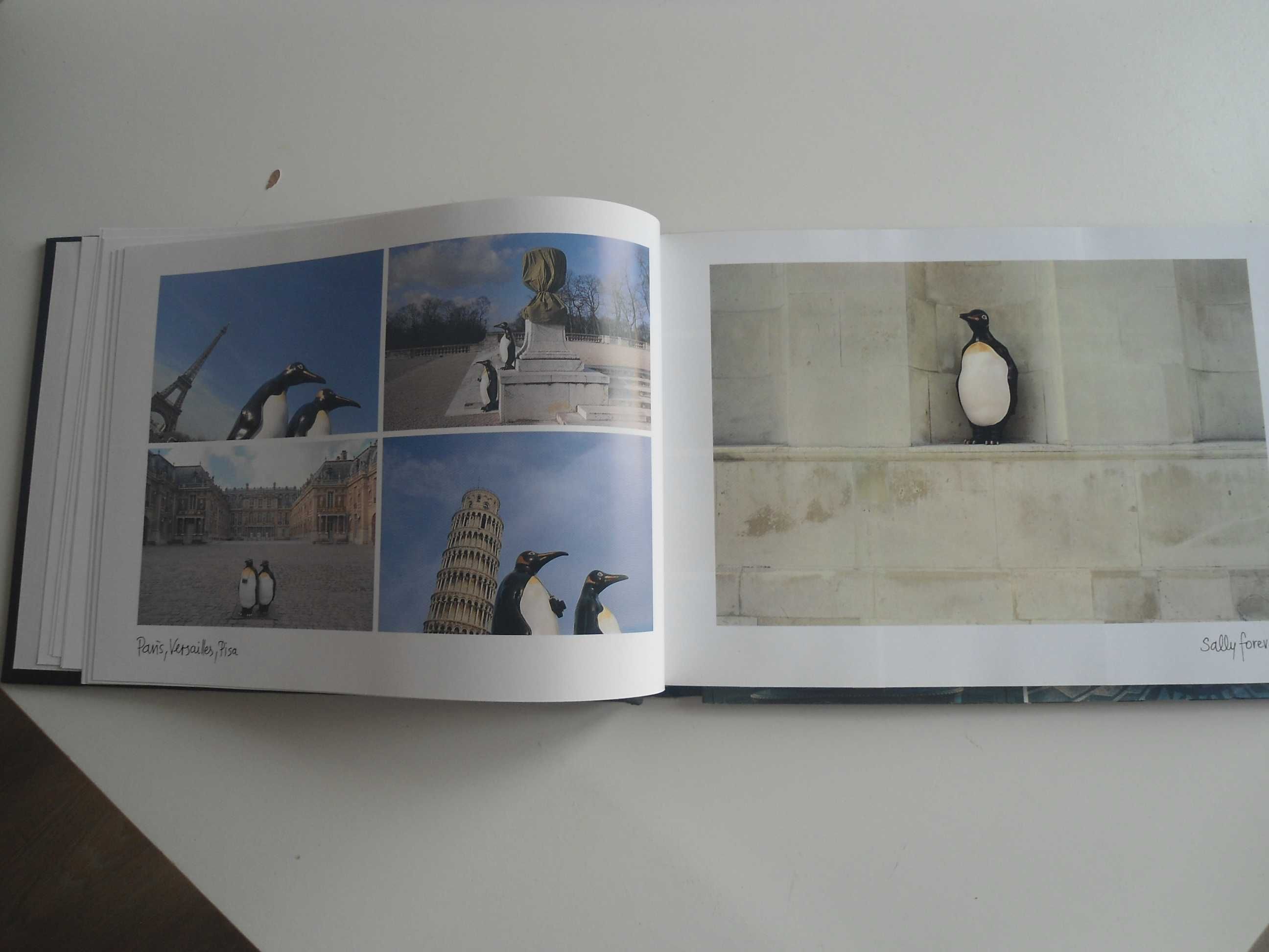 Penguins-Traveling the world-The Long road Home de Willy Puchner