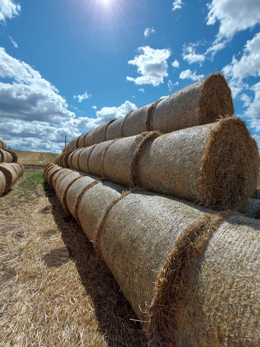 Słoma sprzedam lub zamienię za obornik