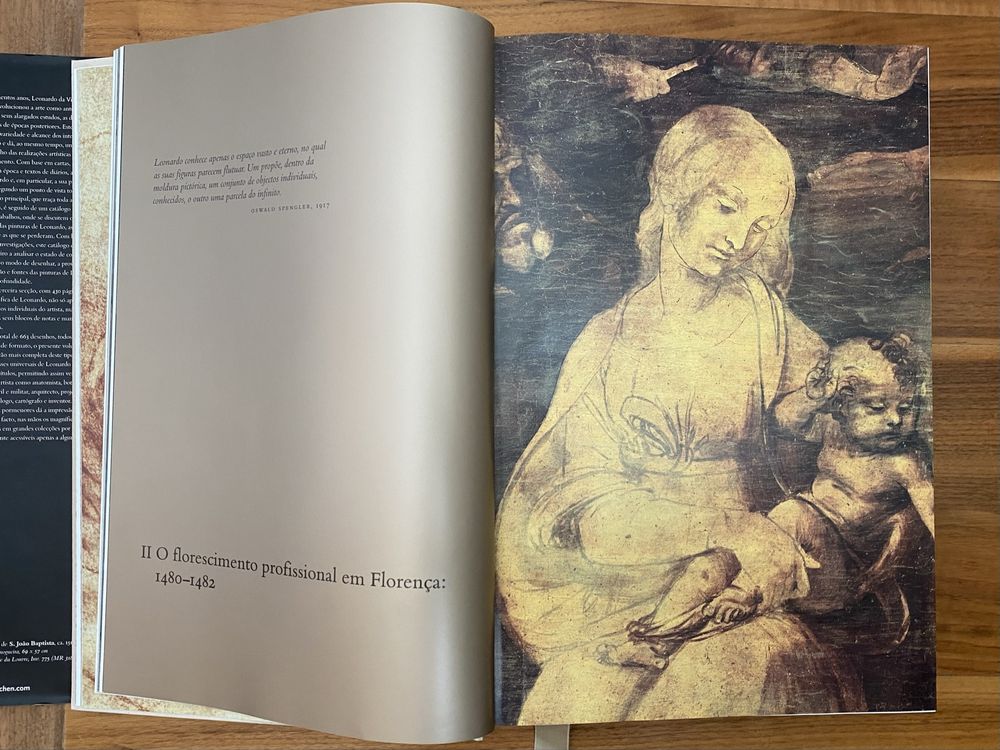 Livro grande de capa dura LEONARDO DA VINCI
