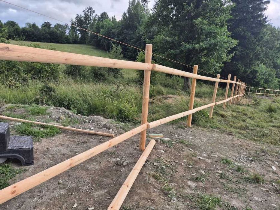 Słupki do siatki leśnej drewniane kołki 250cm  IMPREGNOWANE + Bitum