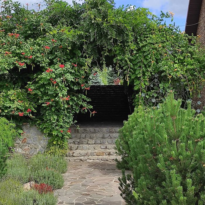 Продажа будинку на ділянці 1,5 га в Новосілках, озеро, Вишгородский