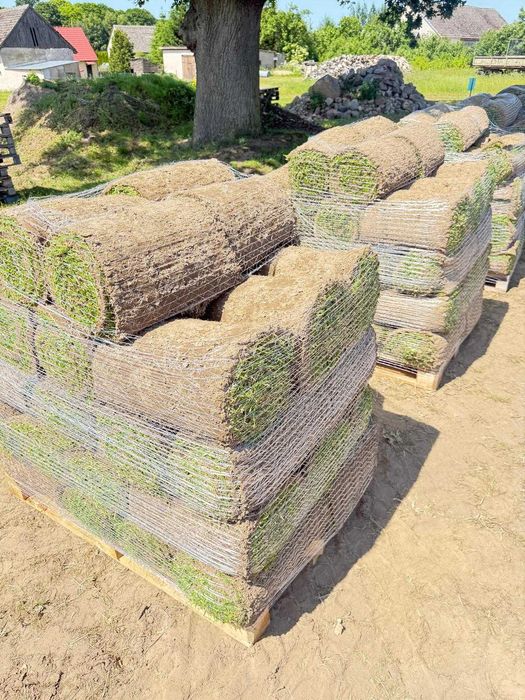 Trawa Z Rolki / PRODUCENT / Transport