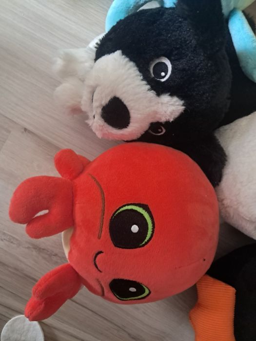 Maskotki różne komplet