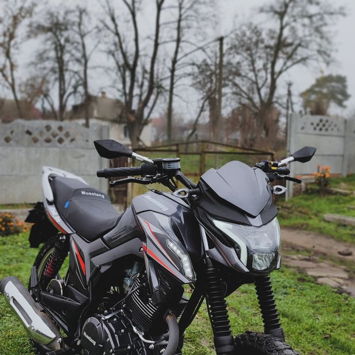 Мустанг фортуна 200