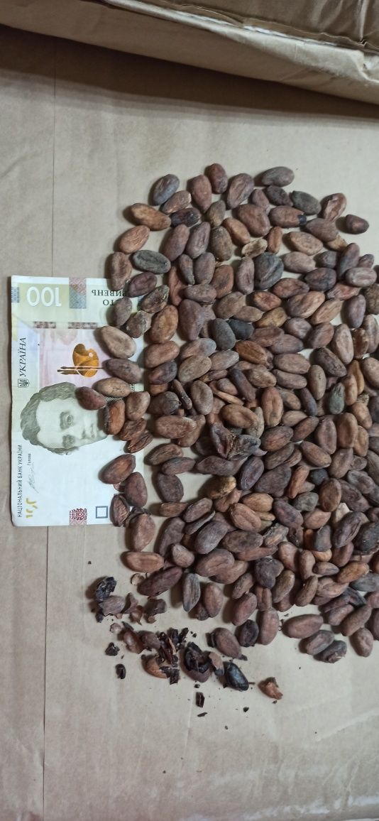 Какао бобы премиум, Cocoa Beans organic, какао-бобы натуральные не жар