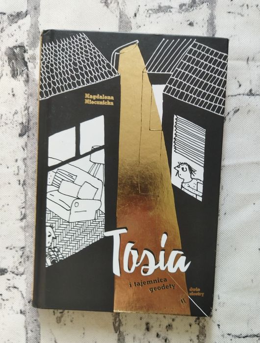 Książka "Tosia i tajemnica geodety"