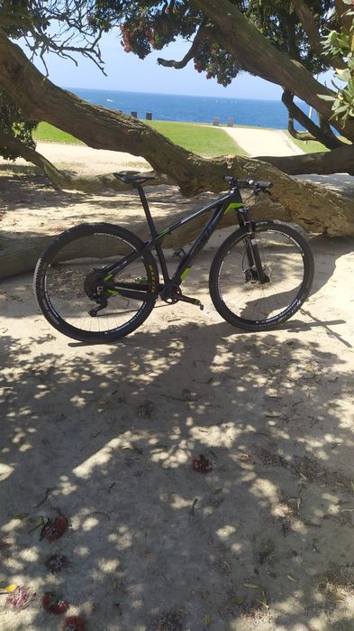 Giant XTC carbono