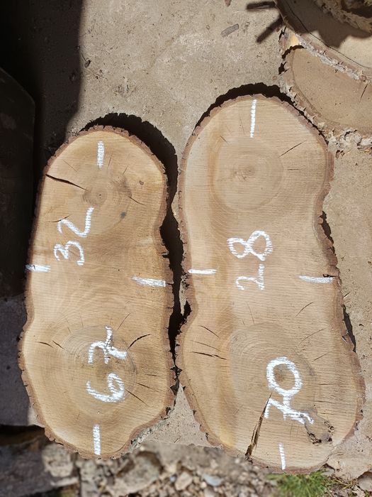 Plastry jesionowe i z orzecha włoskiego, suche  na stoliki itp.