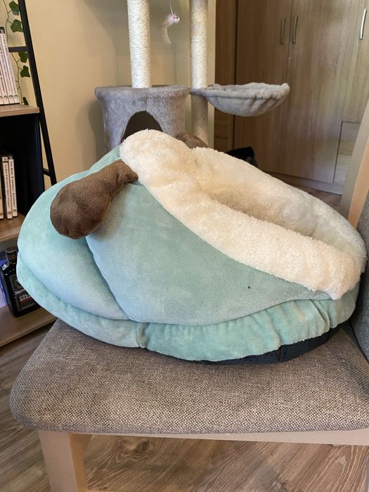 Legowisko dla kota shrek