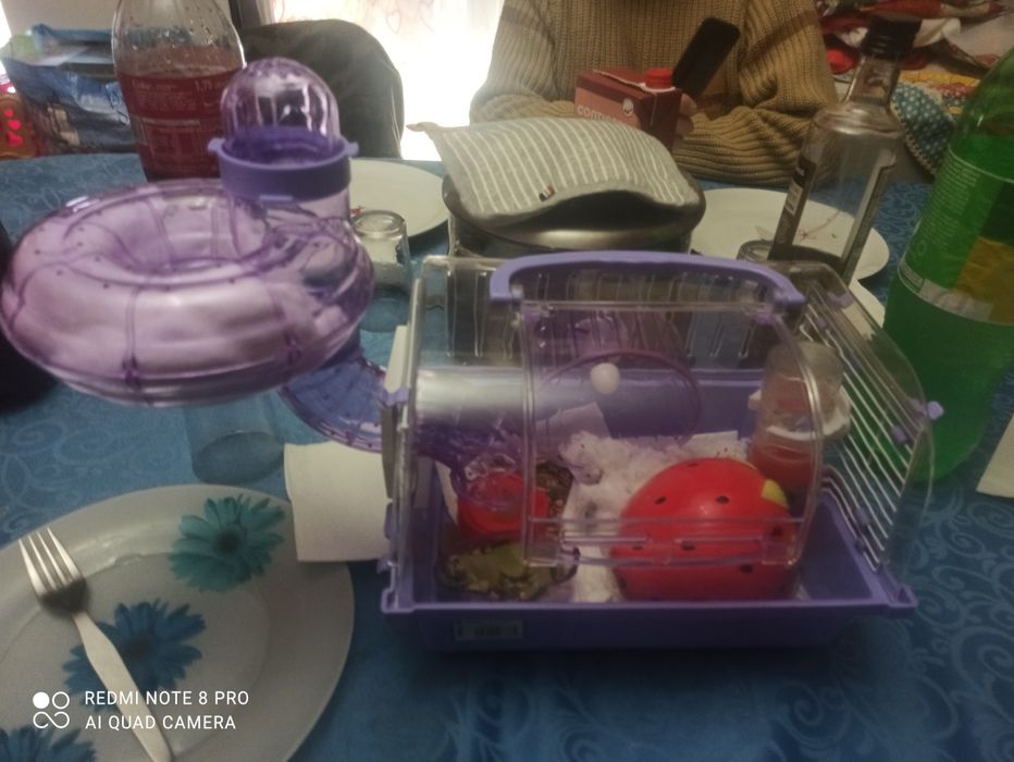 Gaiola de hamster