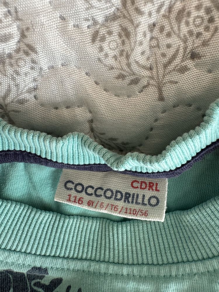 Ciuszki dla chłopca 5-6 lat Coccodrillo 100% bawełna 116-122 koszulki