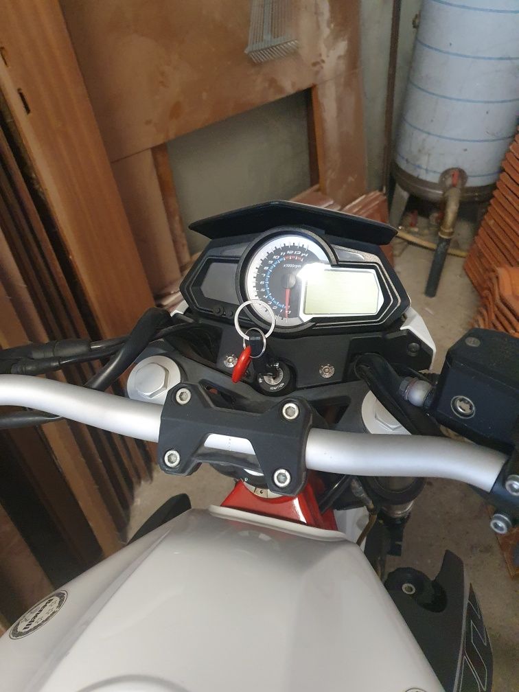 Mota Benelli bn302