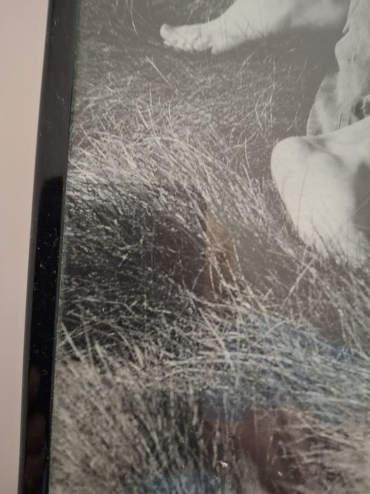 Reprodukcja w Czarnej oprawce ze szkłem