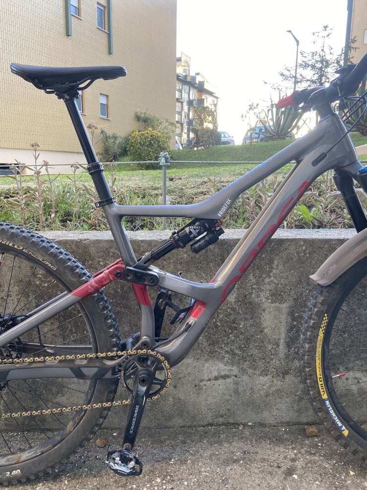 Orbea occam
