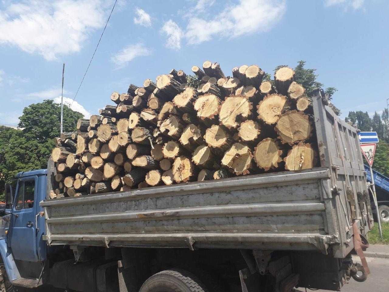 Дрова рубані різні породи