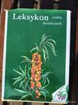 Leksykon roślin leczniczych Ruminska Ożarowski