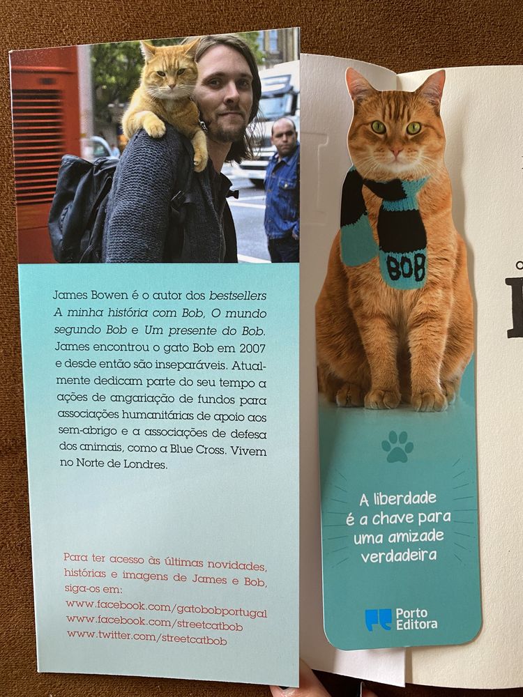 O que aprendi com Bob - livro de bolso