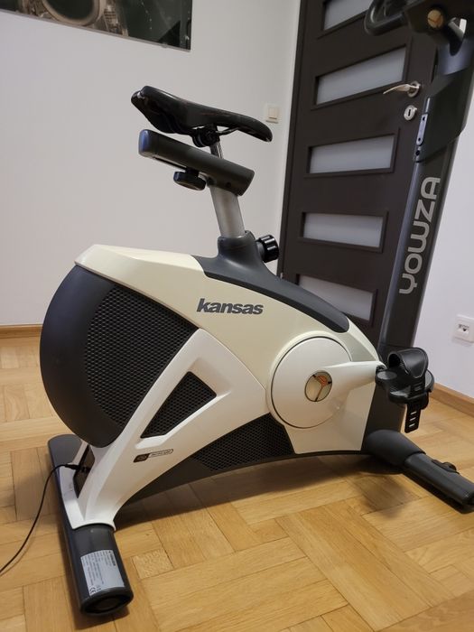 Rower stacjonarny elektromagnetyczny 8kg koło Yowza Kansas Reebok B5.1