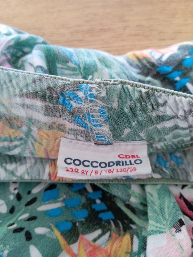 Spodenki letnie Coccodrillo