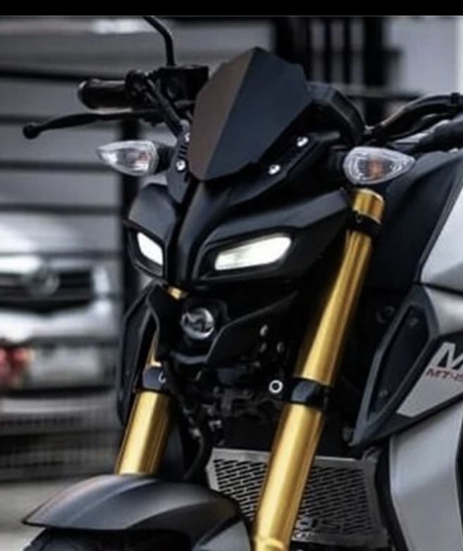 Deflector/Mica yamaha MT125