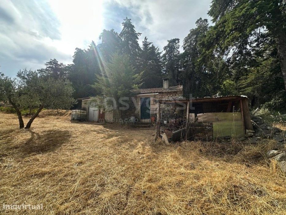 Excelente Terreno Rústico com Casa de Apoio e Infraestruturas Agríc...
