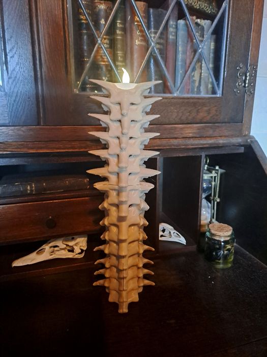 Świecznik kręgosłup Lupin Harry Potter Hogwart