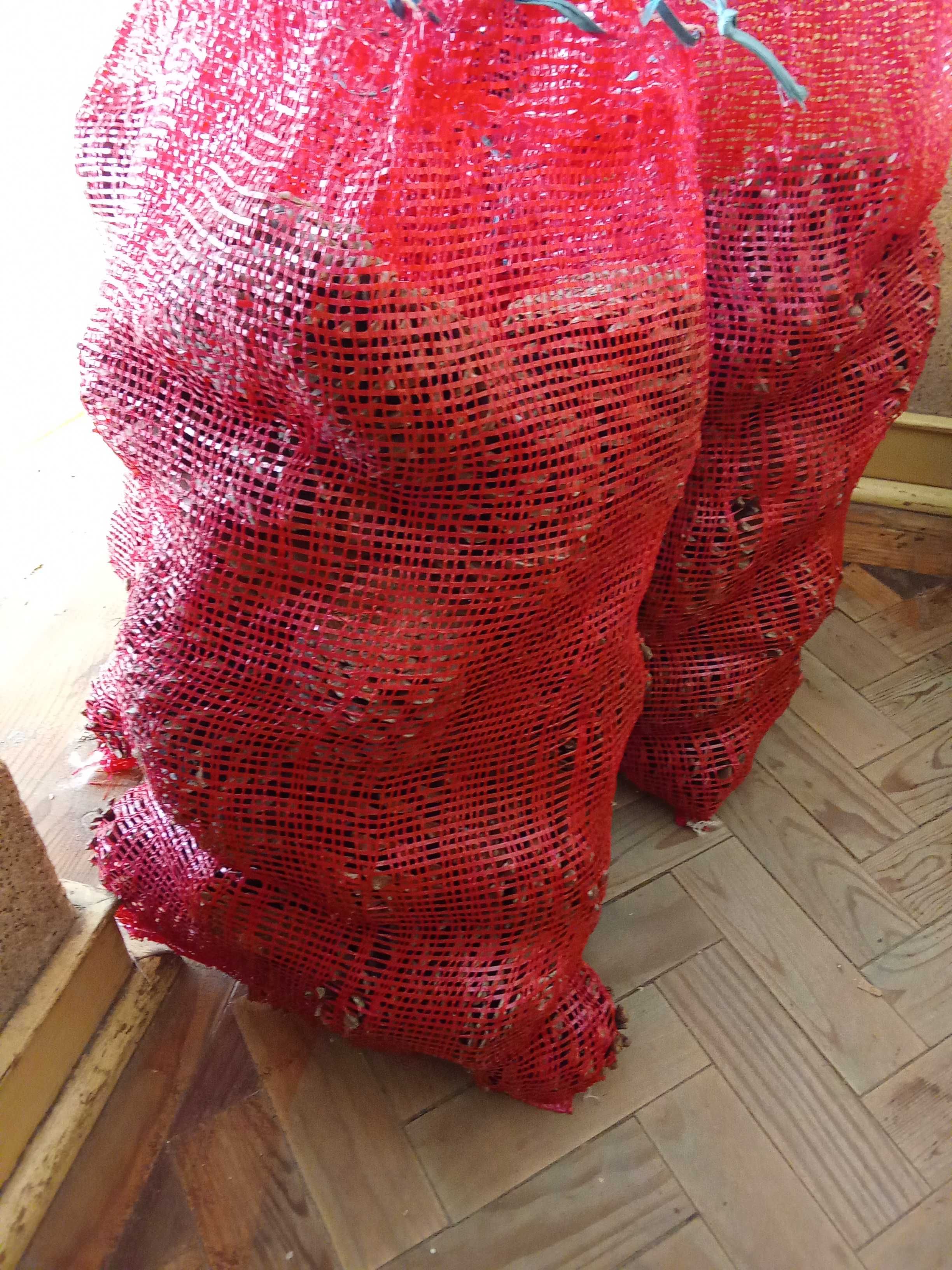 pinha brava para churrasco