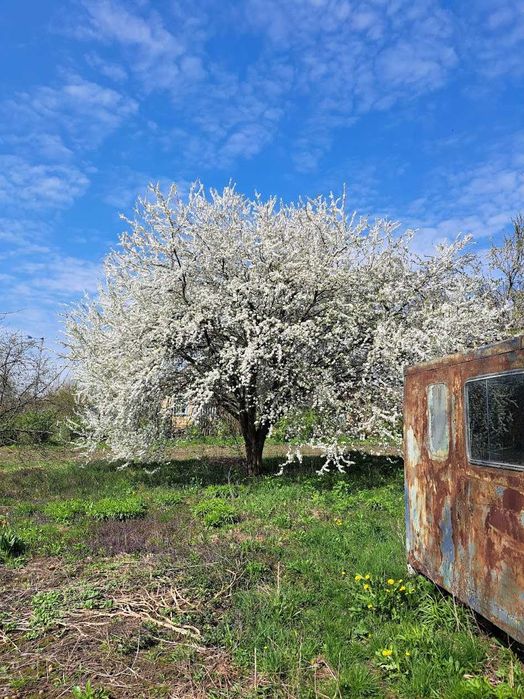 Будинок у Чернігівській області, Ніжинський район, село Рудьківка