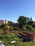 Działka ROD, Jelenia Góra, 1 ar, centrum