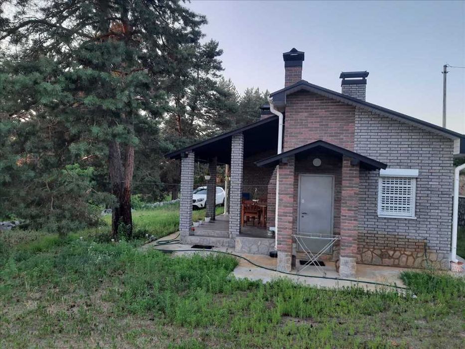 Дім у сосновому лісі