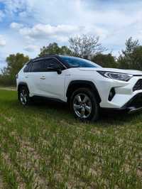 Toyota rav 4 2019 рік